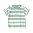 베이비 · 크루넥 반소매 티셔츠 STRIPE PALE GREEN